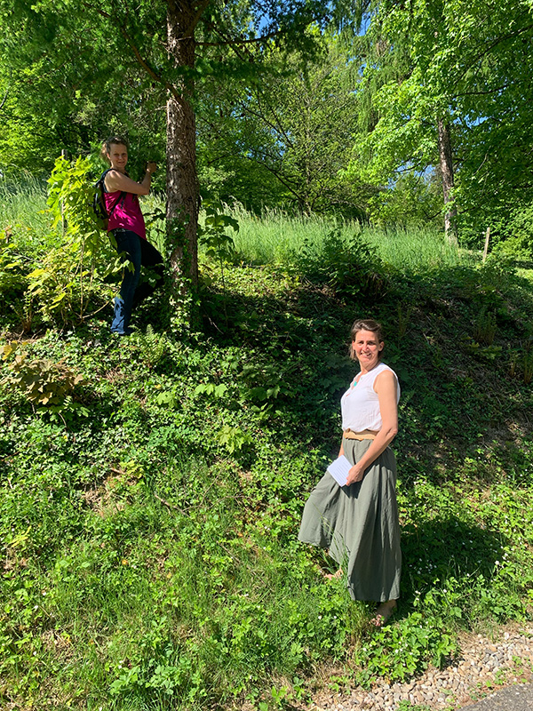 Naturkräuter sammeln Schwarzwald